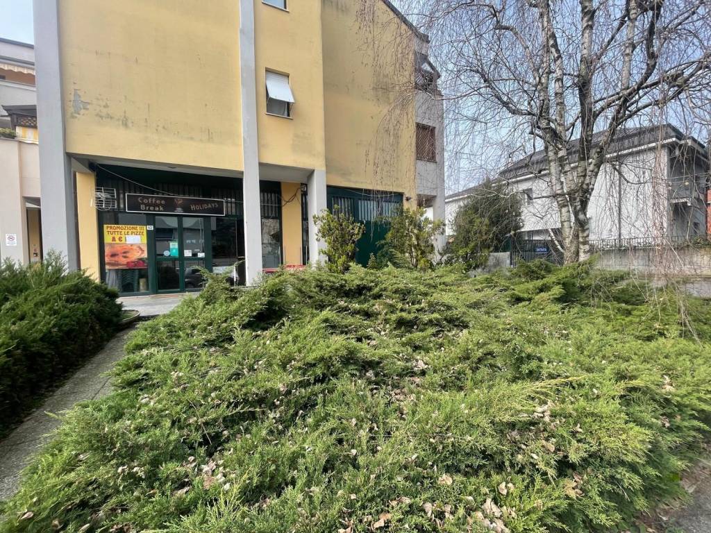 immagine annuncio 1 di 5