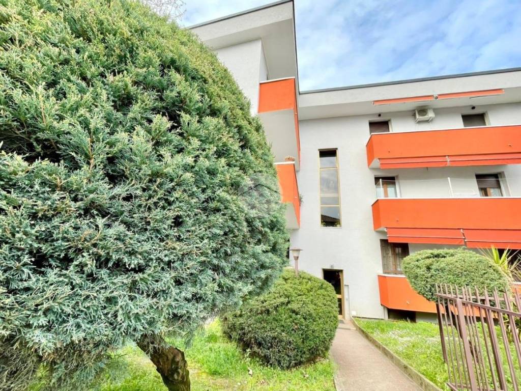 immagine annuncio 2 di 5