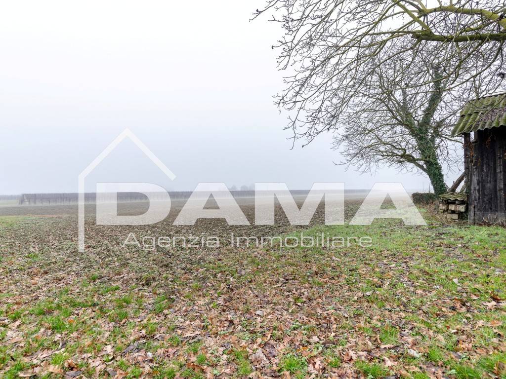 immagine annuncio 1 di 2