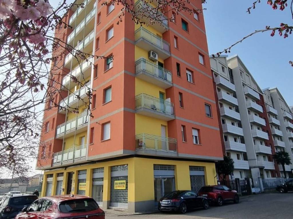 immagine annuncio 3 di 5