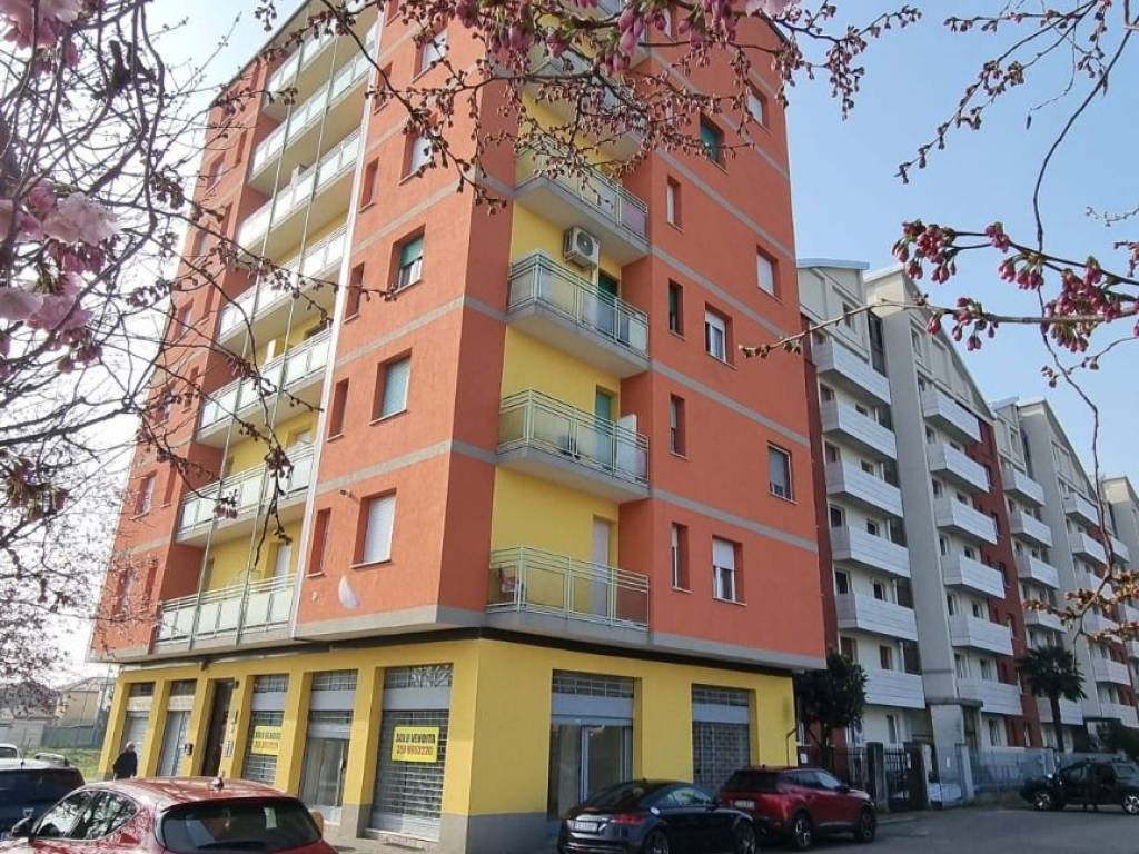 immagine annuncio 2 di 5