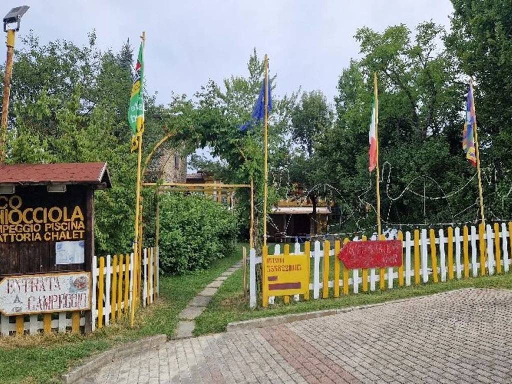 immagine annuncio 2 di 5