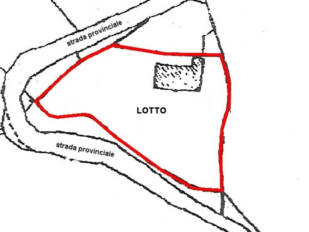 immagine annuncio 3 di 4