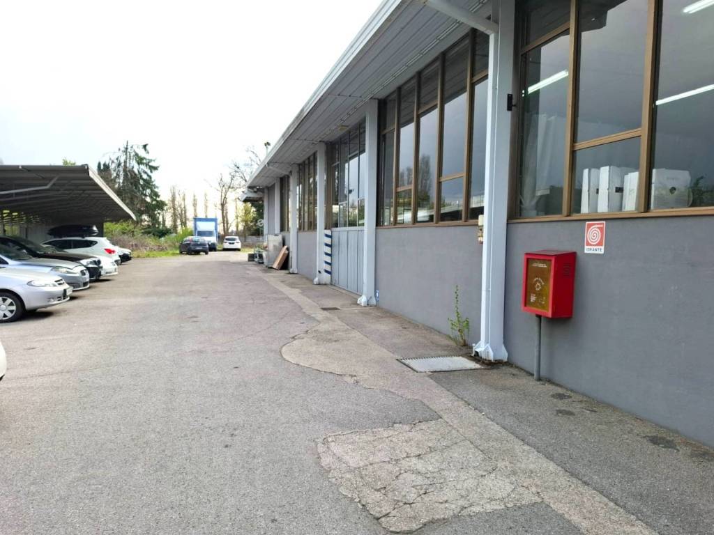immagine annuncio 3 di 5