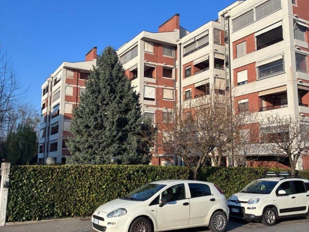 immagine annuncio 2 di 5