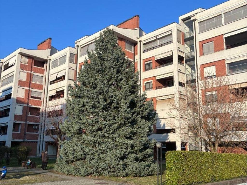 immagine annuncio 1 di 5