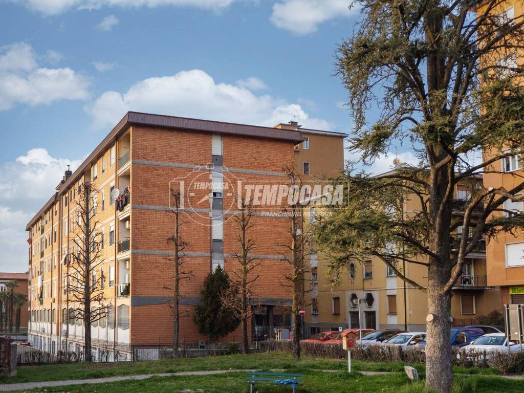 immagine annuncio 2 di 5