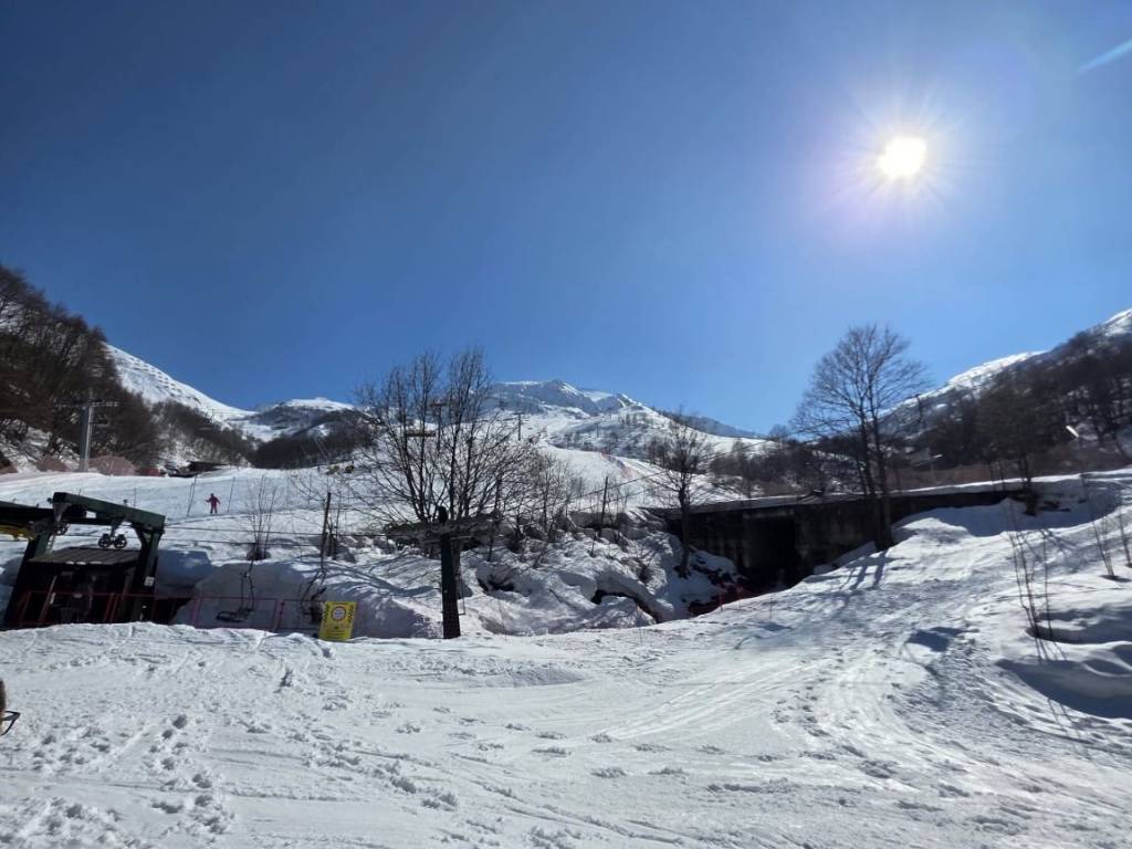 immagine annuncio 4 di 5