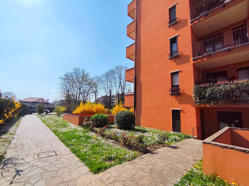 immagine annuncio 3 di 5