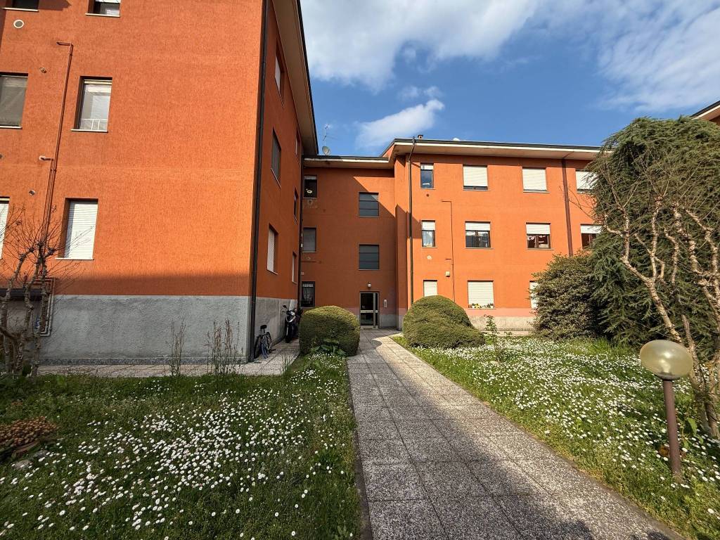 immagine annuncio 2 di 5