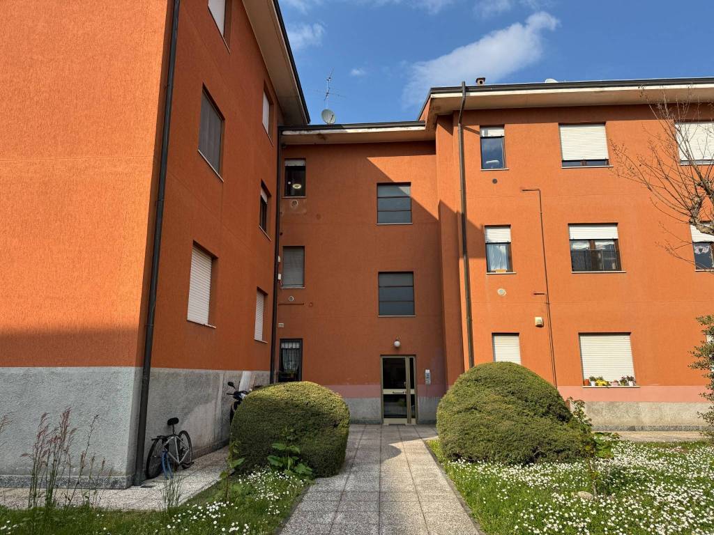 immagine annuncio 3 di 5