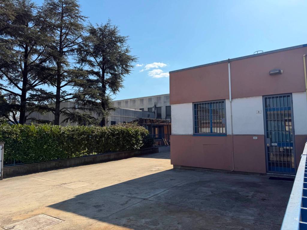 immagine annuncio 2 di 5