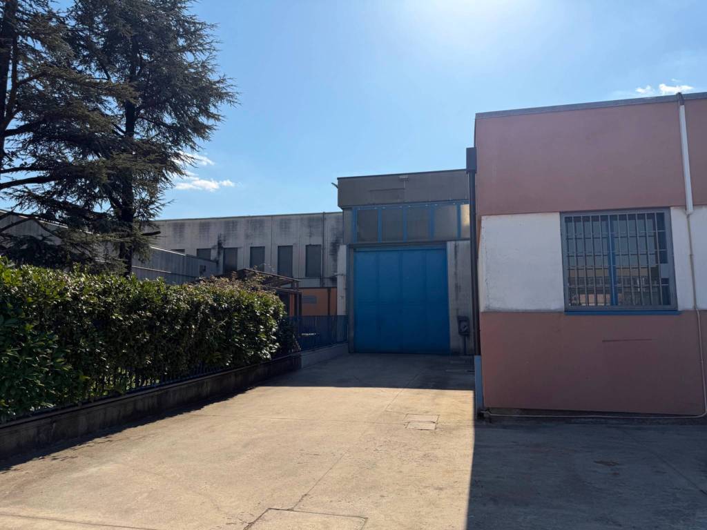 immagine annuncio 4 di 5