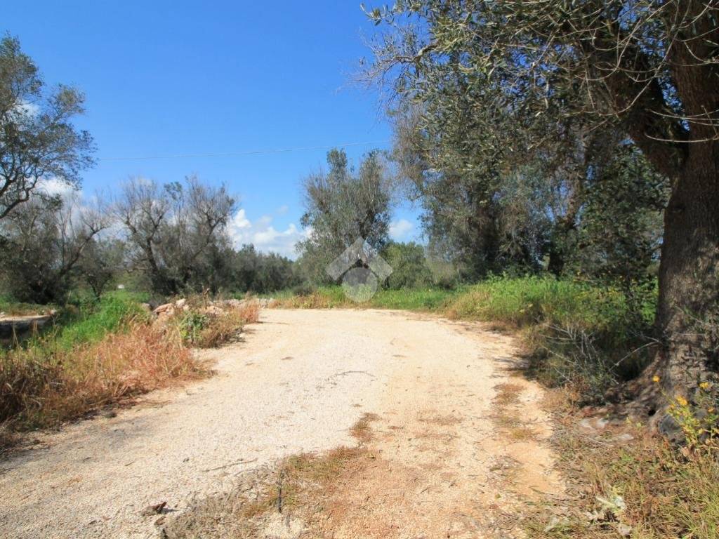 immagine annuncio 3 di 4