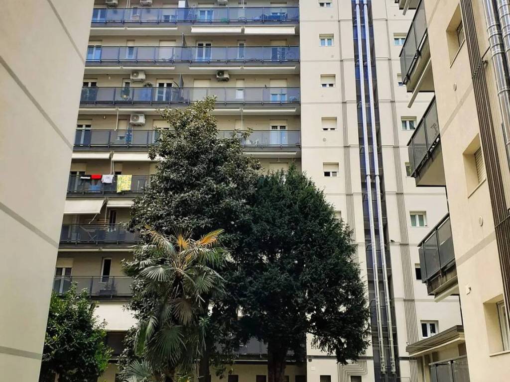 immagine annuncio 2 di 3