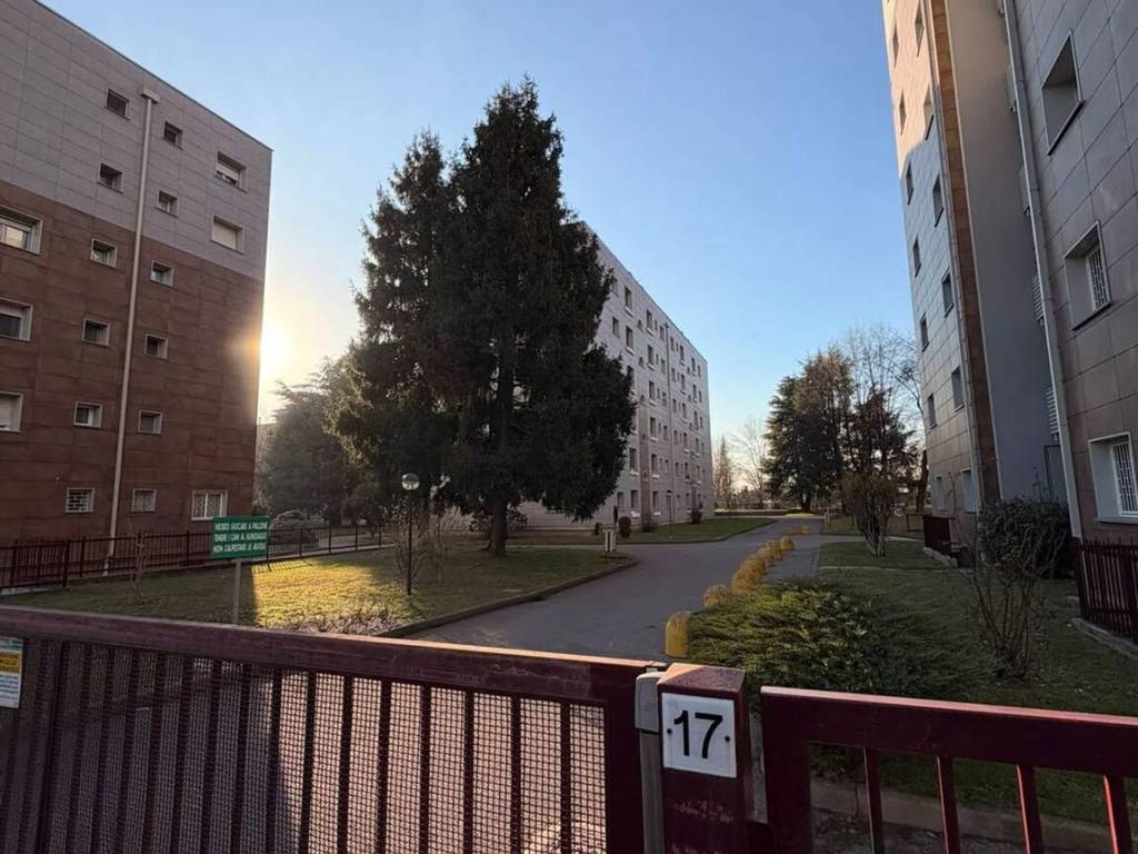 immagine annuncio 3 di 5