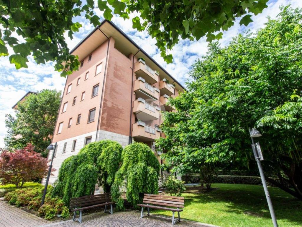 immagine annuncio 2 di 5