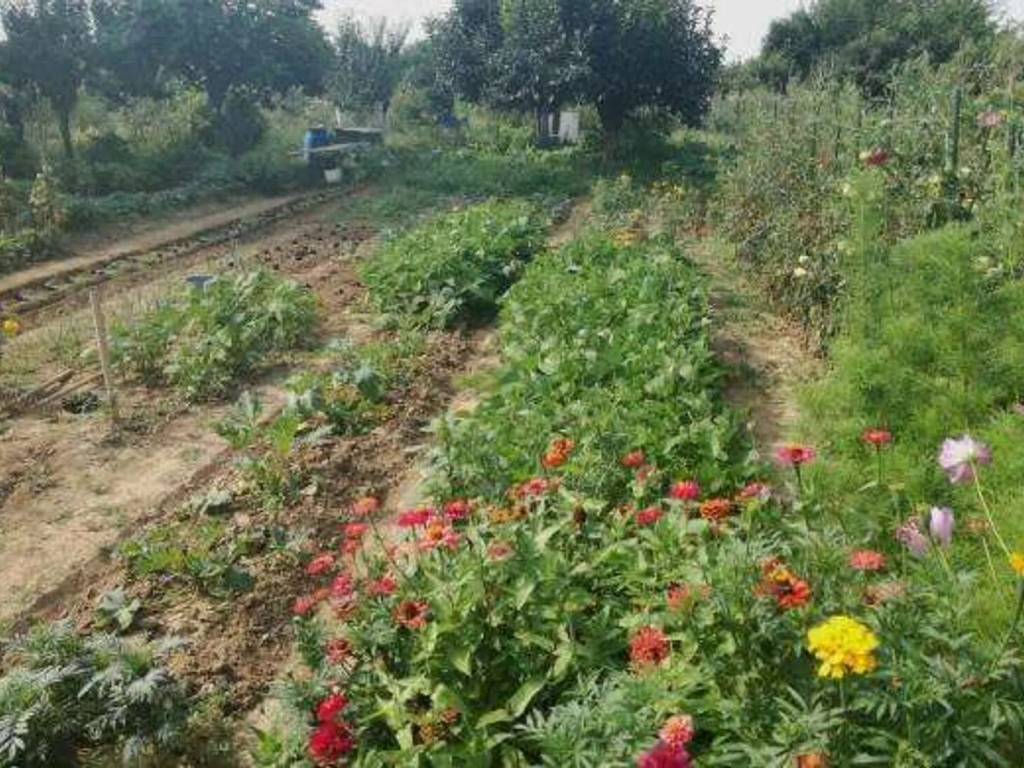 immagine annuncio 1 di 3