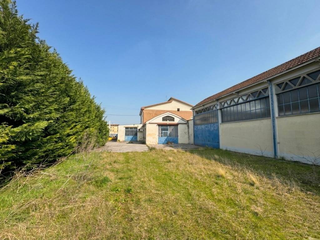 immagine annuncio 2 di 5