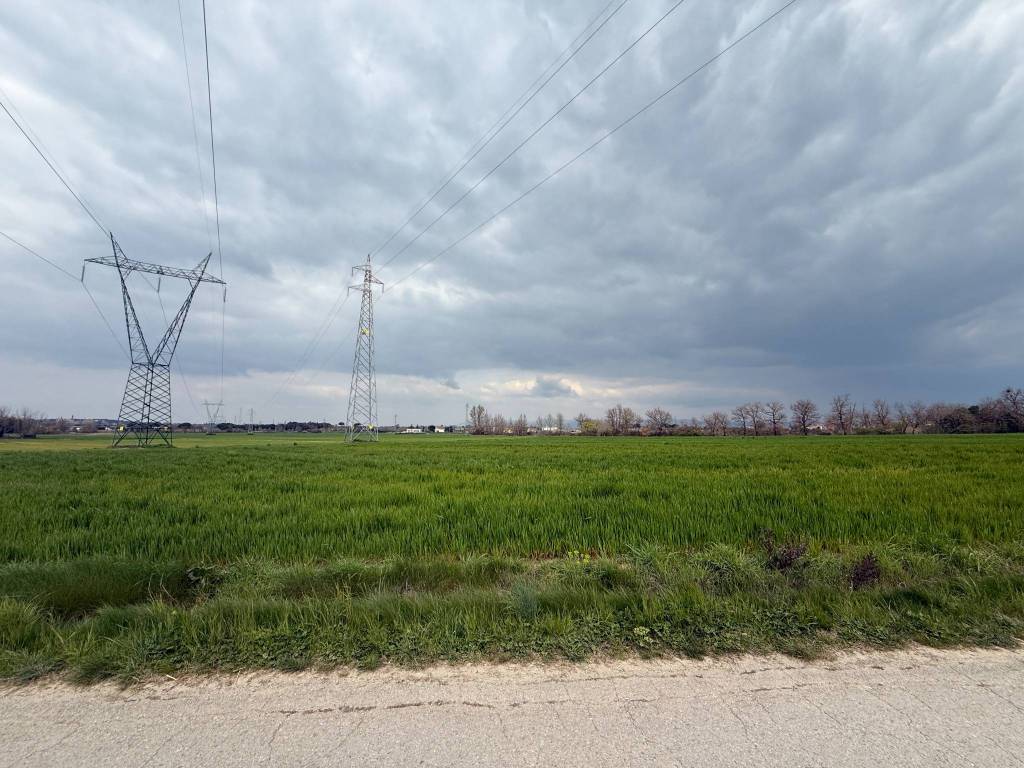 immagine annuncio 3 di 4