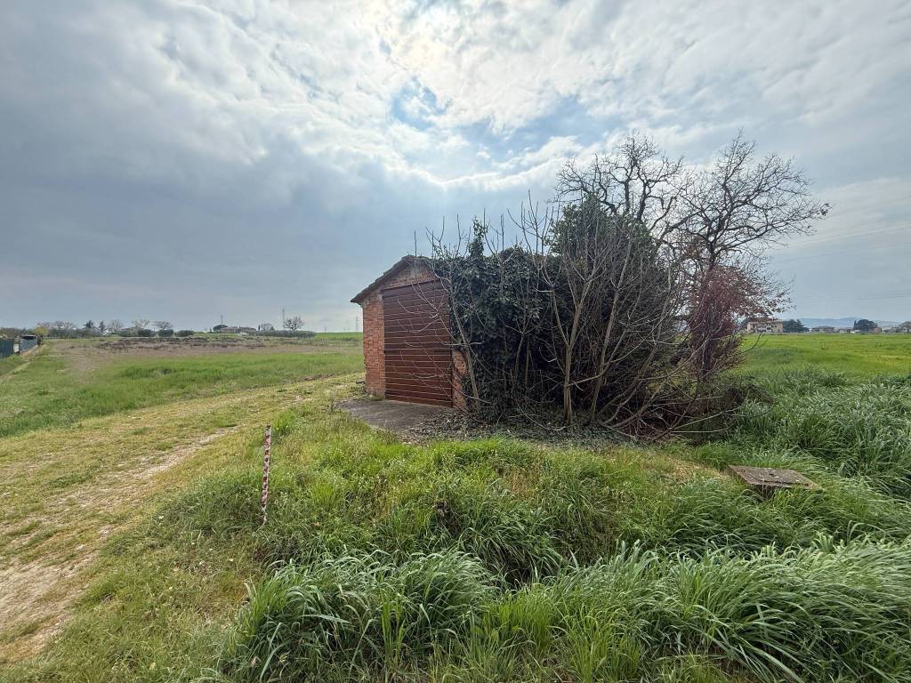 immagine annuncio 2 di 4