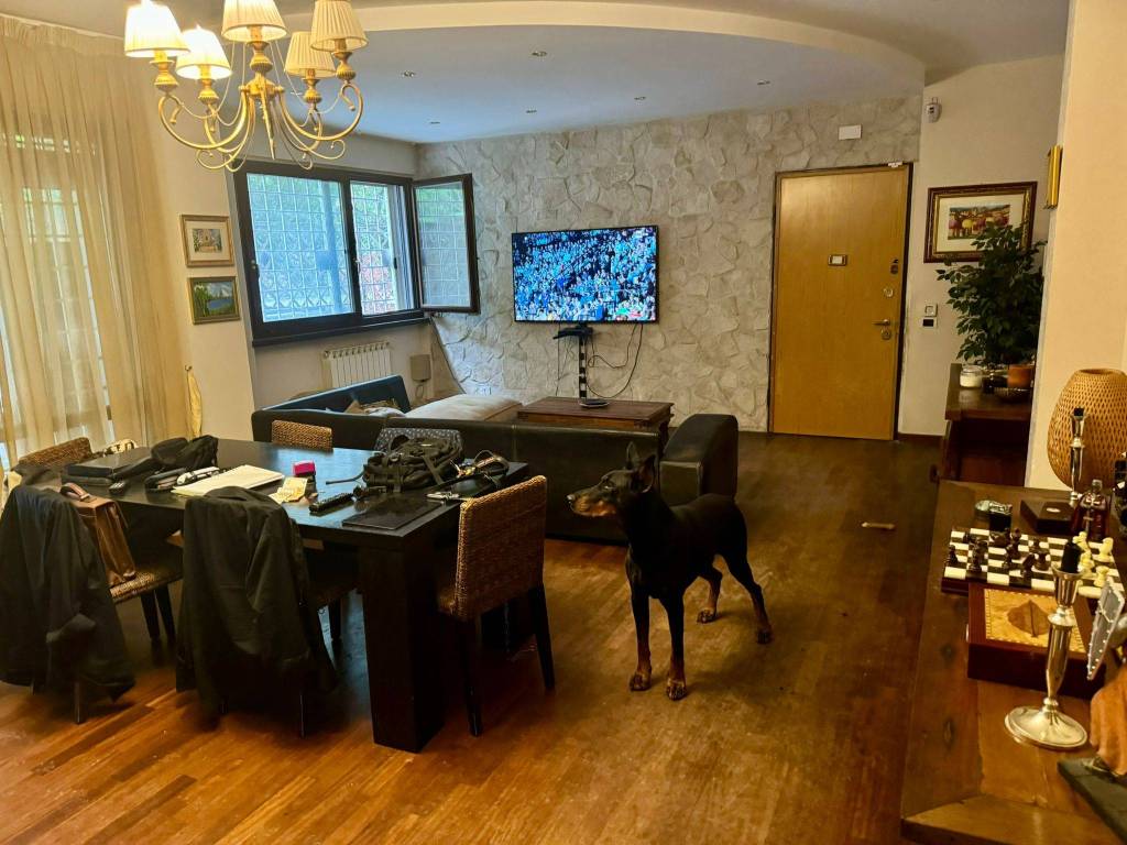 immagine annuncio 4 di 5