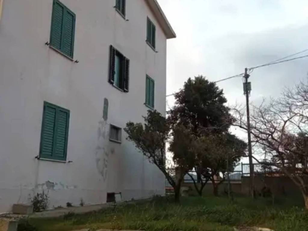 immagine annuncio 2 di 4