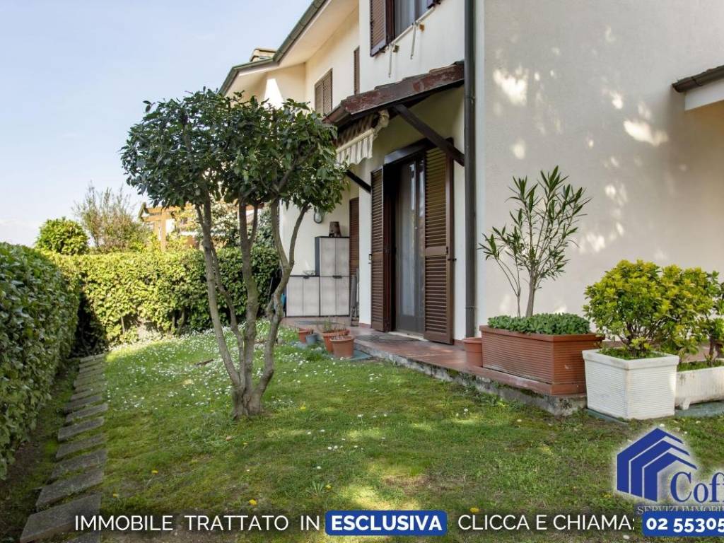 immagine annuncio 2 di 5