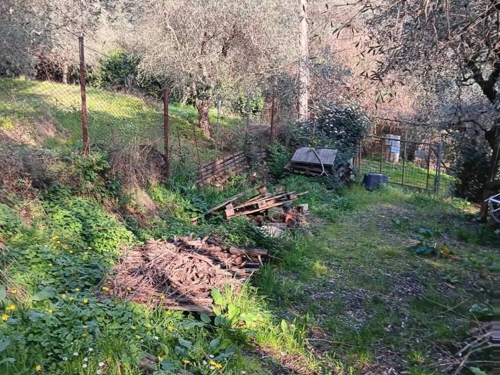 immagine annuncio 1 di 3