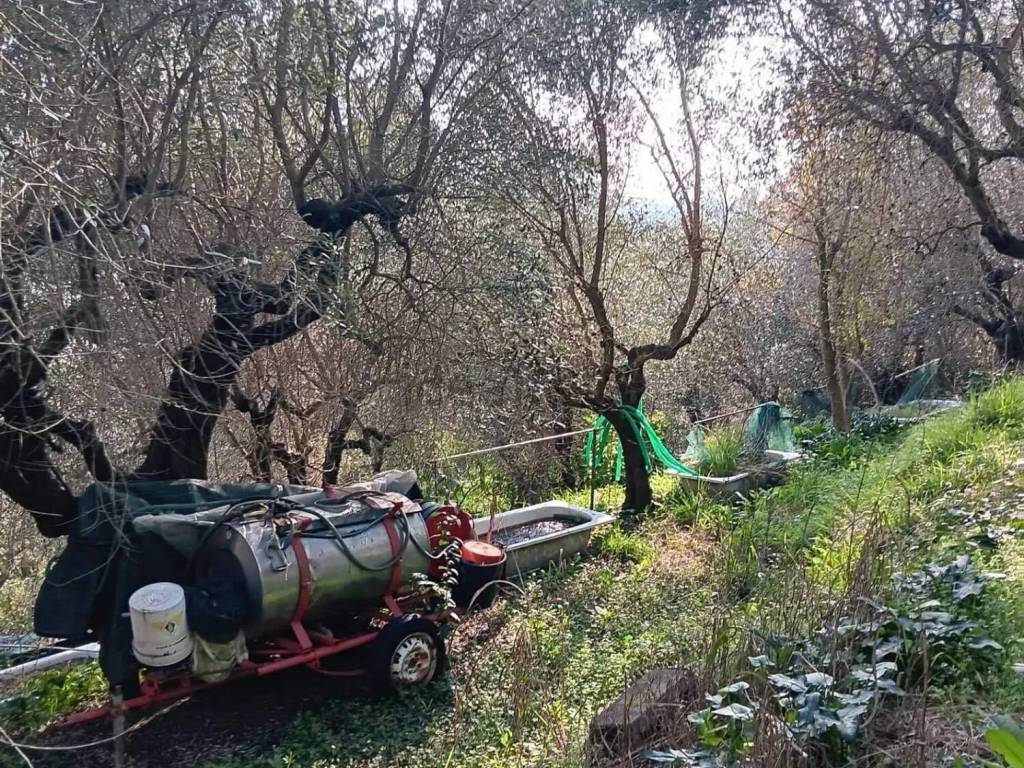 immagine annuncio 2 di 3