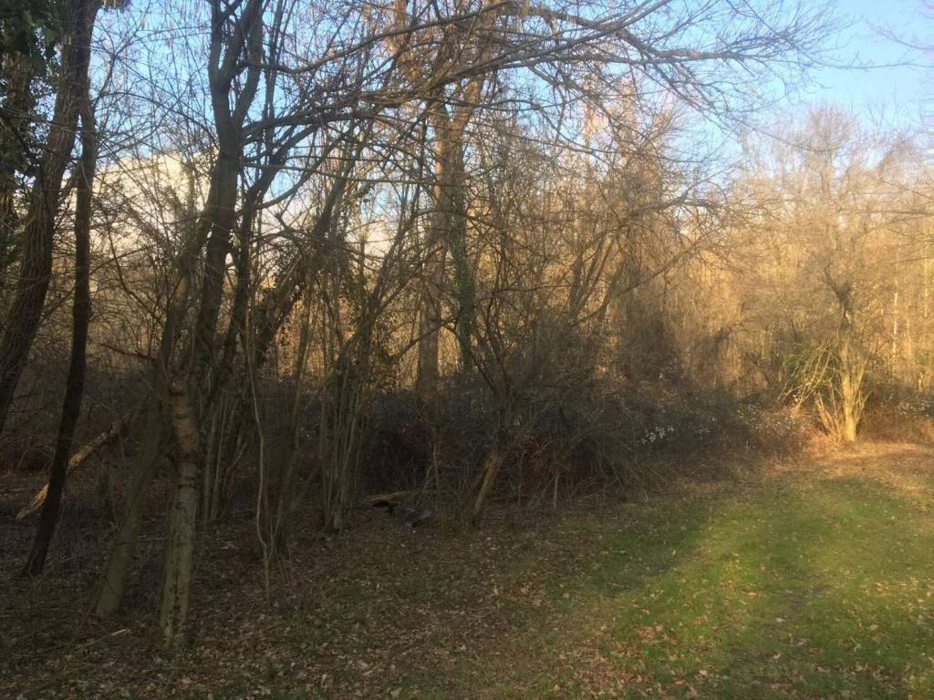 immagine annuncio 1 di 4