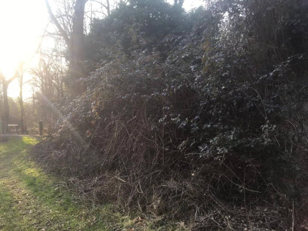 immagine annuncio 3 di 4