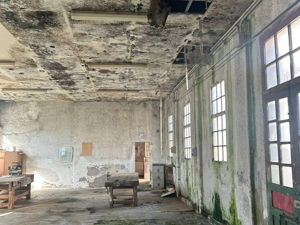 immagine annuncio 2 di 4