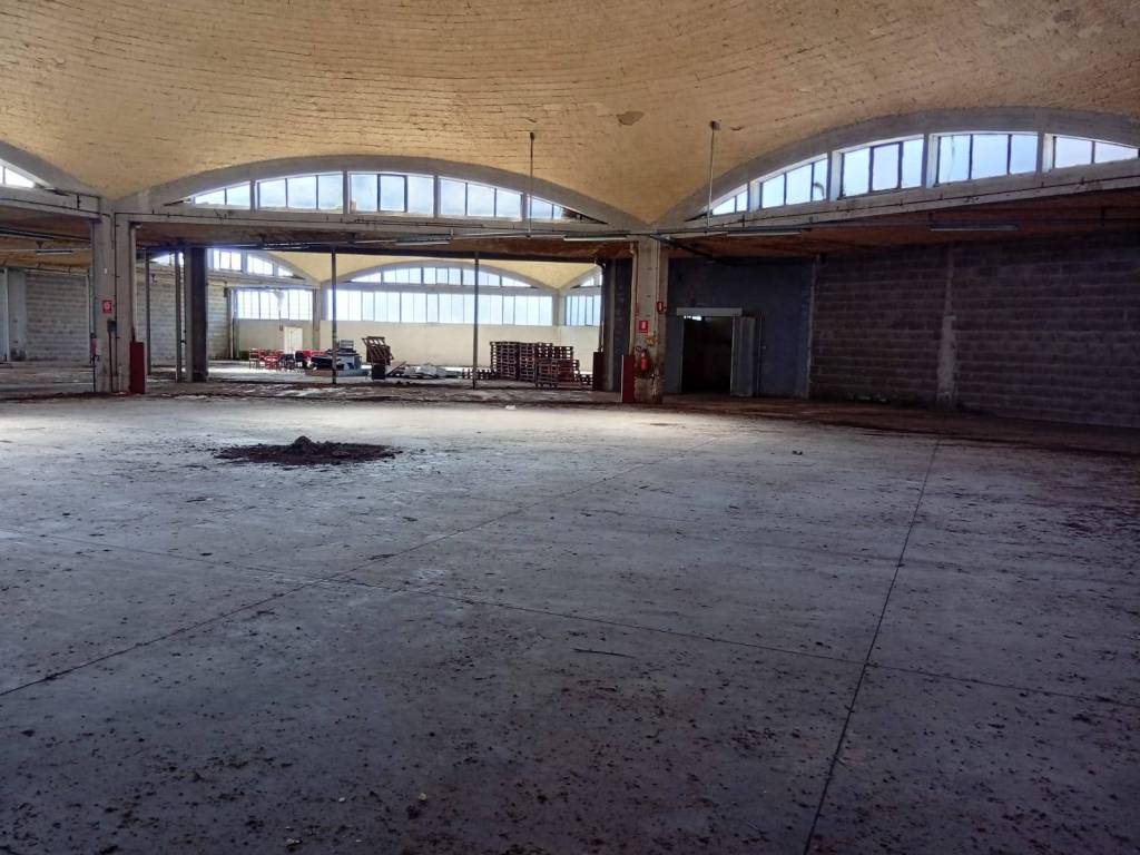 immagine annuncio 1 di 4