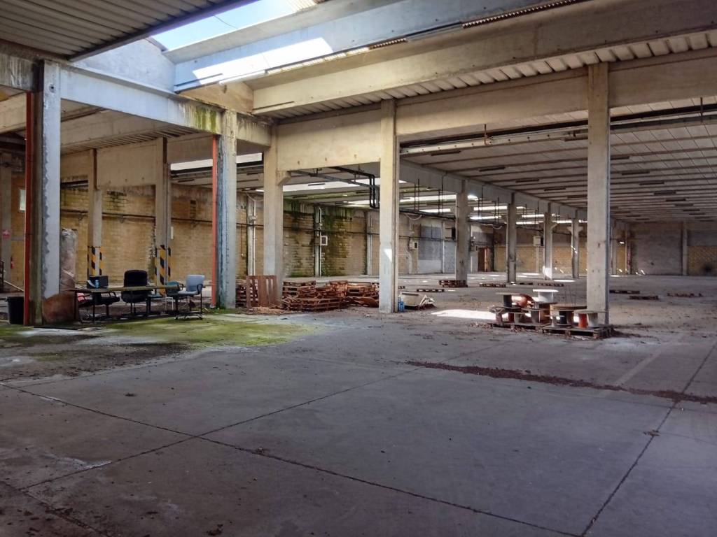 immagine annuncio 2 di 4