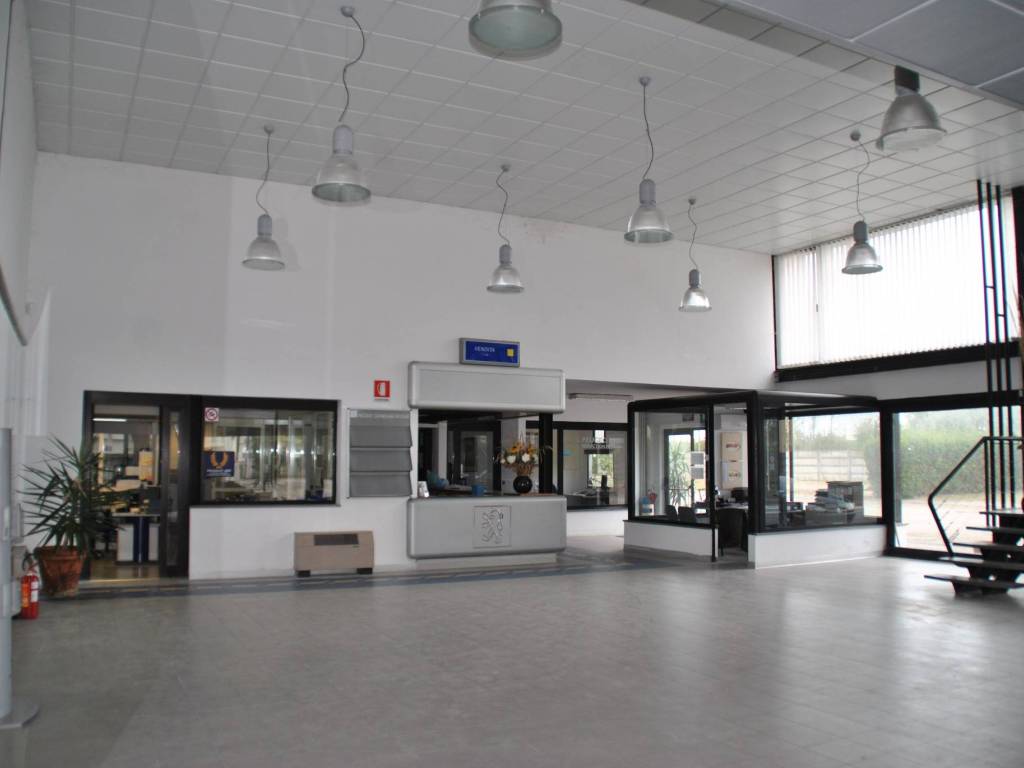 immagine annuncio 4 di 5