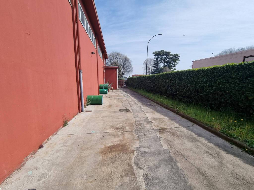 immagine annuncio 2 di 5