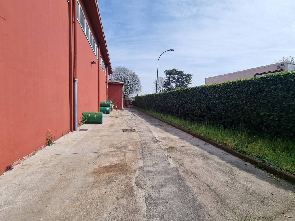 immagine annuncio 3 di 5