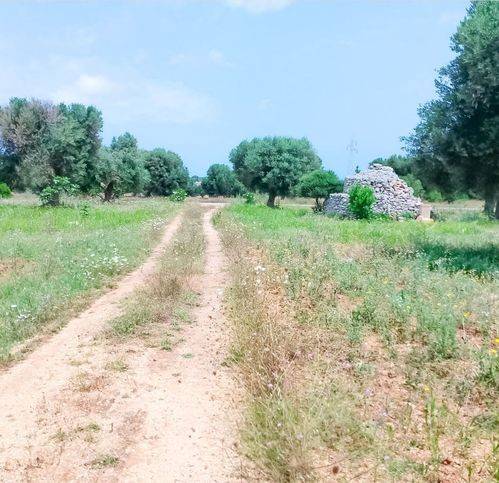 immagine annuncio 1 di 3