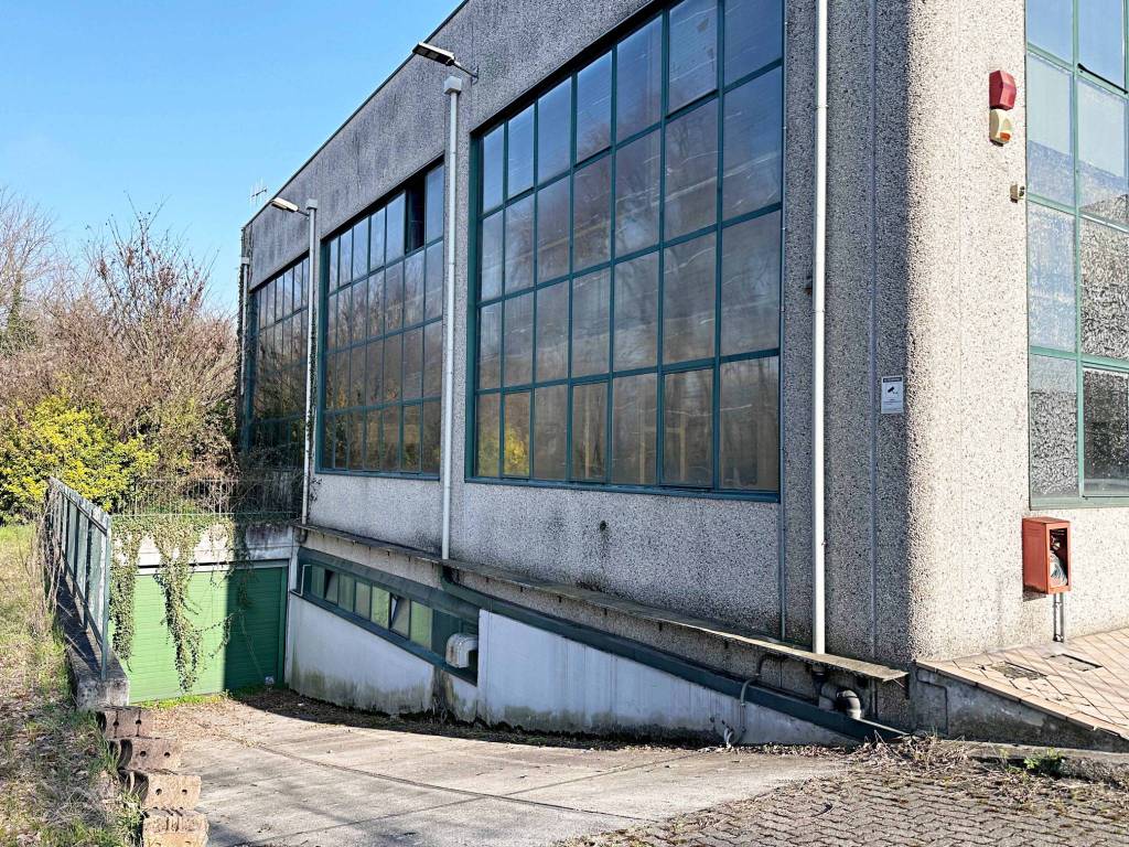 immagine annuncio 2 di 5