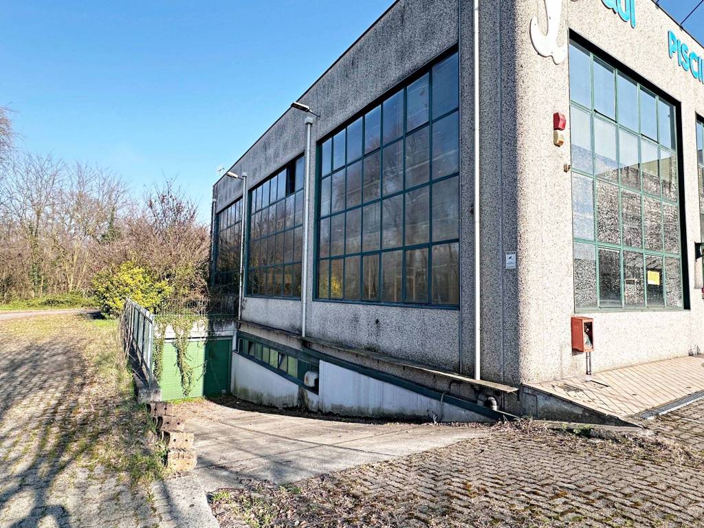 immagine annuncio 4 di 5