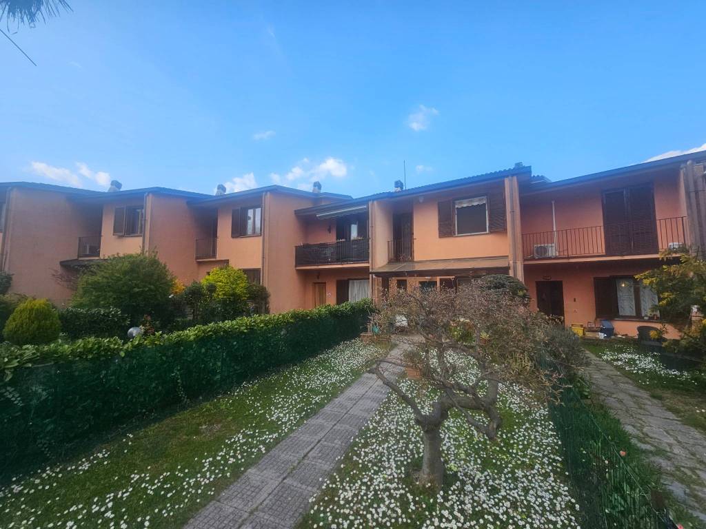 immagine annuncio 2 di 5