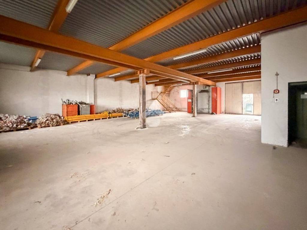 immagine annuncio 2 di 5