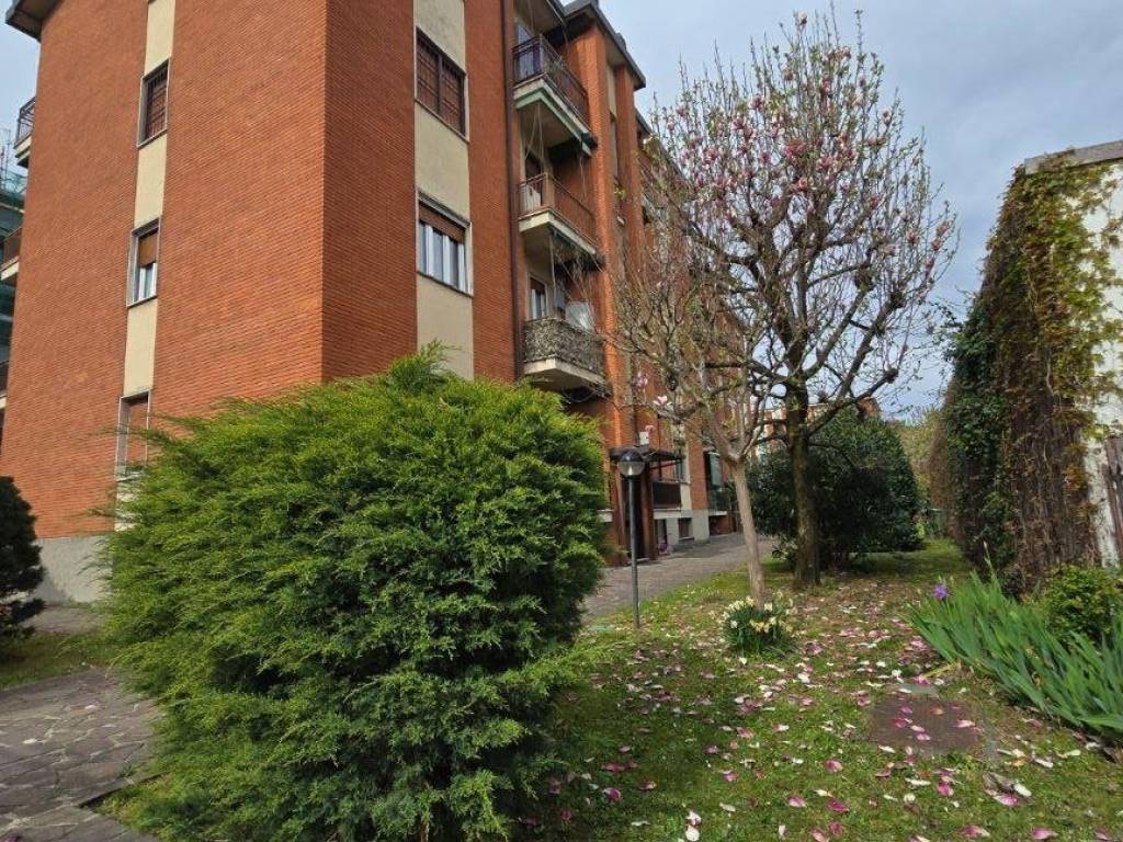 immagine annuncio 1 di 5