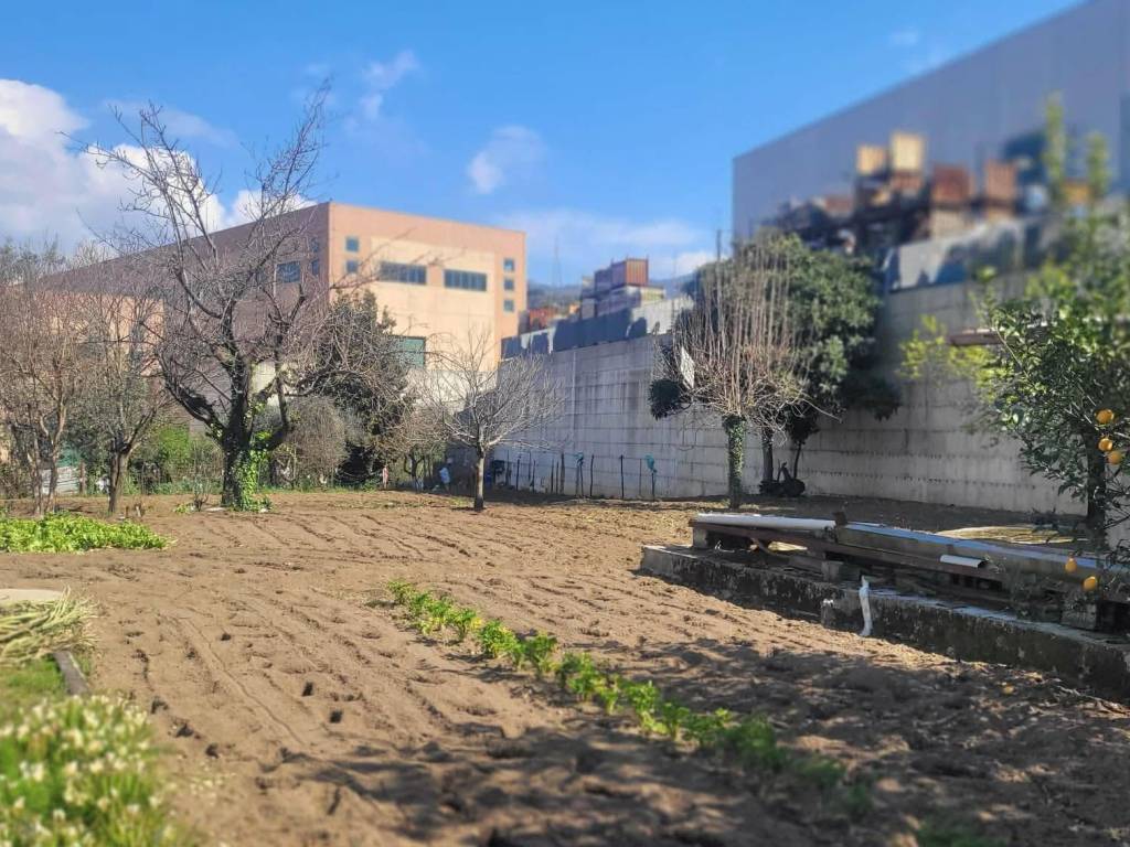 immagine annuncio 1 di 3