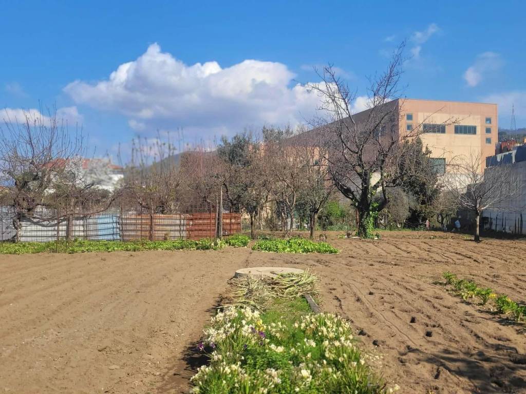 immagine annuncio 2 di 3