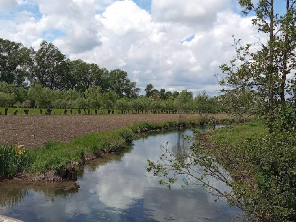 immagine annuncio 1 di 4