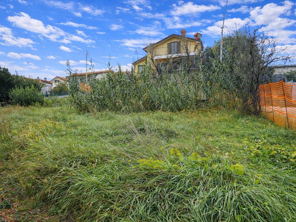 immagine annuncio 2 di 3