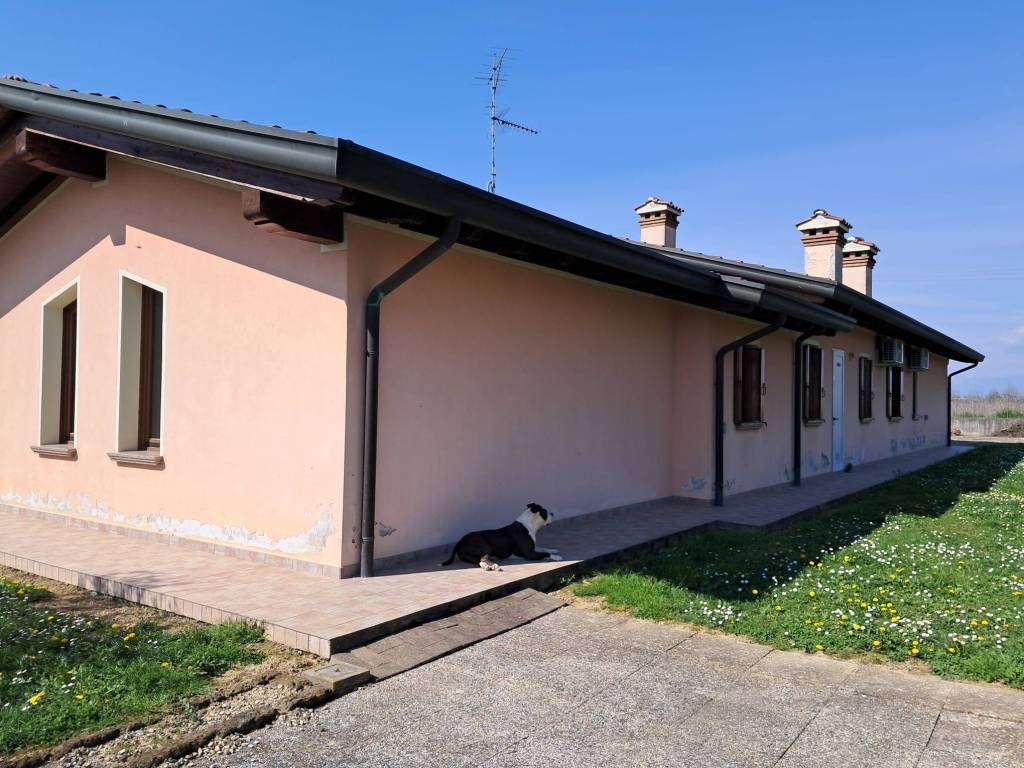 immagine annuncio 4 di 5