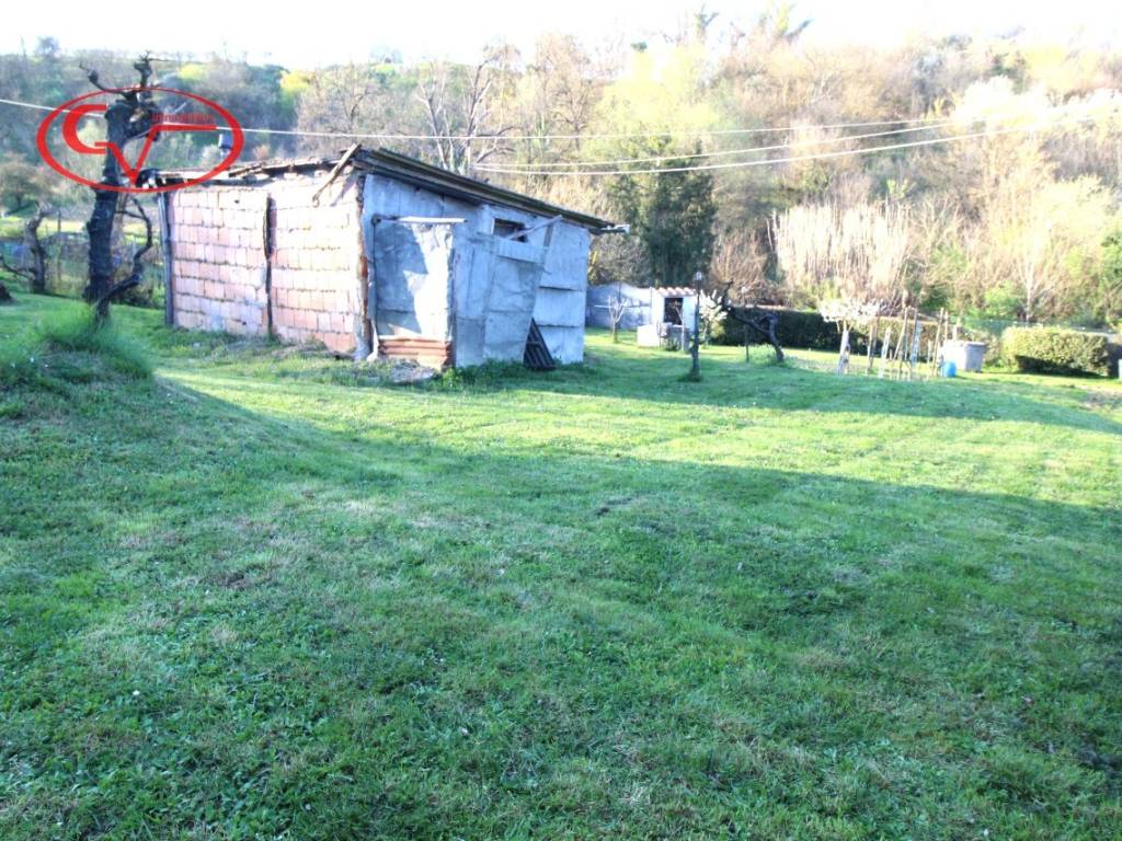 immagine annuncio 2 di 4